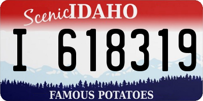 ID license plate I618319