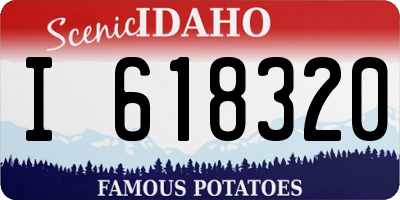 ID license plate I618320