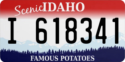 ID license plate I618341