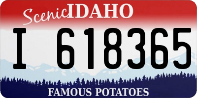 ID license plate I618365