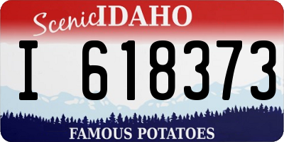 ID license plate I618373