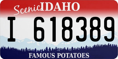 ID license plate I618389