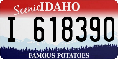 ID license plate I618390