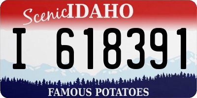 ID license plate I618391