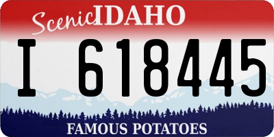 ID license plate I618445