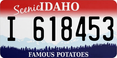 ID license plate I618453