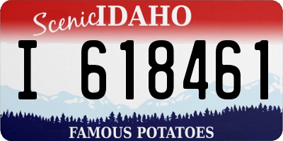 ID license plate I618461