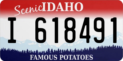 ID license plate I618491