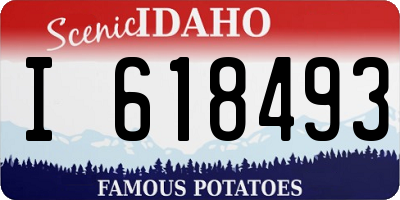 ID license plate I618493