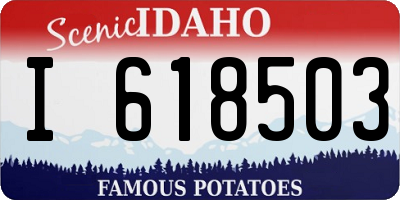 ID license plate I618503