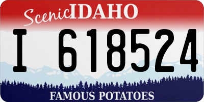 ID license plate I618524