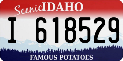 ID license plate I618529
