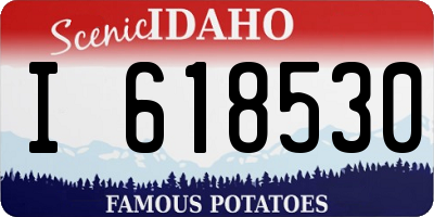 ID license plate I618530