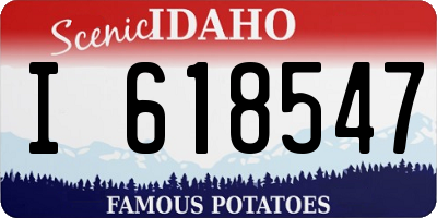 ID license plate I618547