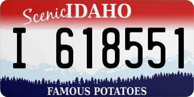 ID license plate I618551