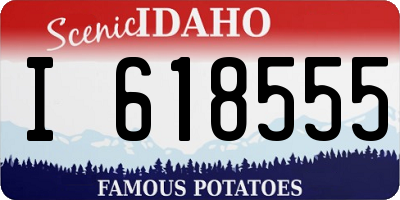 ID license plate I618555