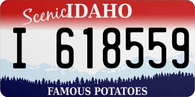 ID license plate I618559