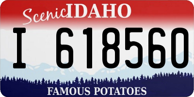 ID license plate I618560