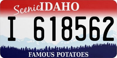 ID license plate I618562
