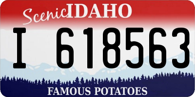ID license plate I618563