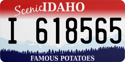 ID license plate I618565