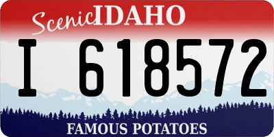 ID license plate I618572