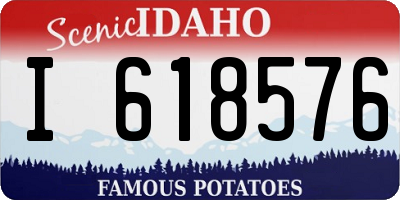 ID license plate I618576