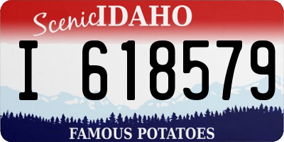 ID license plate I618579