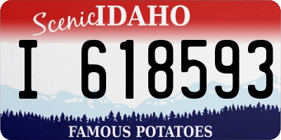 ID license plate I618593