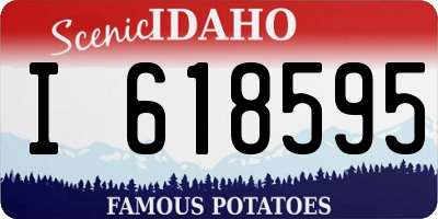 ID license plate I618595