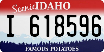 ID license plate I618596