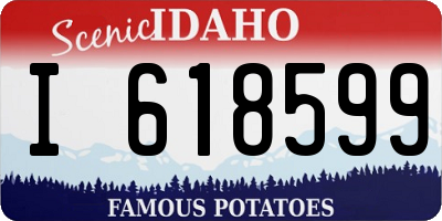 ID license plate I618599