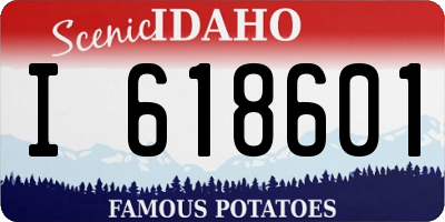 ID license plate I618601