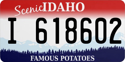 ID license plate I618602