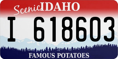 ID license plate I618603