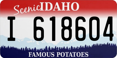 ID license plate I618604