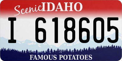 ID license plate I618605