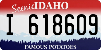 ID license plate I618609