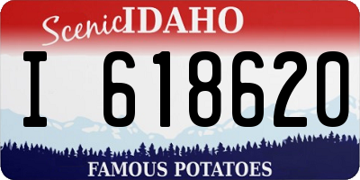 ID license plate I618620