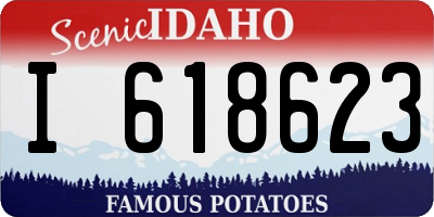ID license plate I618623