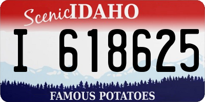 ID license plate I618625