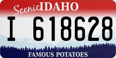 ID license plate I618628