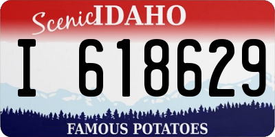 ID license plate I618629