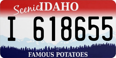 ID license plate I618655
