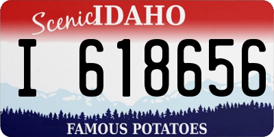 ID license plate I618656
