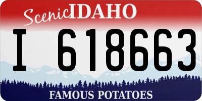 ID license plate I618663