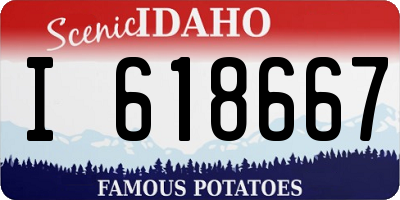 ID license plate I618667