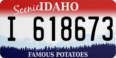ID license plate I618673