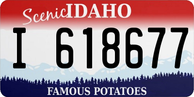 ID license plate I618677