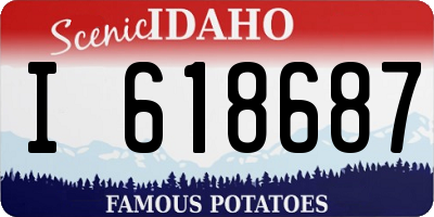 ID license plate I618687